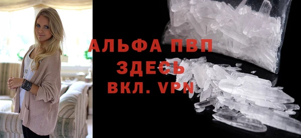 твердый Арсеньев