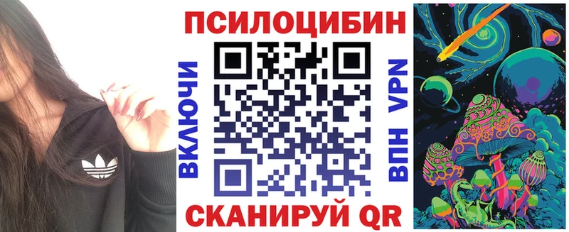 купить наркоту  мега маркетплейс  Галлюциногенные грибы Cubensis  Нижний Тагил 